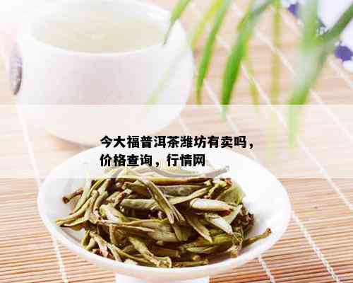 今大福普洱茶潍坊有卖吗，价格查询，行情网