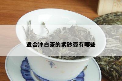 适合冲白茶的紫砂壶有哪些