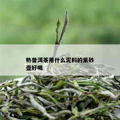 熟普洱茶用什么泥料的紫砂壶好喝