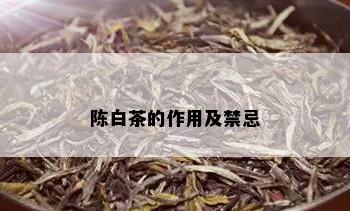 陈白茶的作用及禁忌