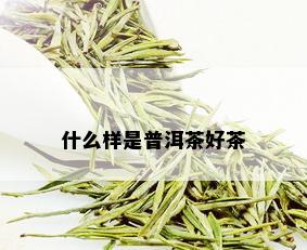 什么样是普洱茶好茶