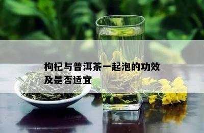 枸杞与普洱茶一起泡的功效及是否适宜