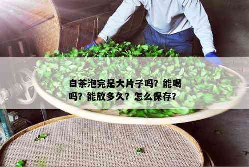 白茶泡完是大片子吗？能喝吗？能放多久？怎么保存？