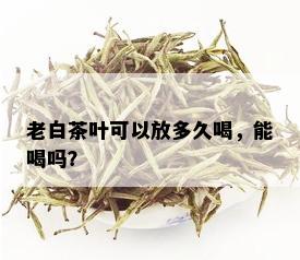 老白茶叶可以放多久喝，能喝吗？