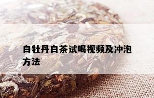 白牡丹白茶试喝视频及冲泡方法