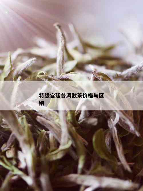 特级宫廷普洱散茶价格与区别