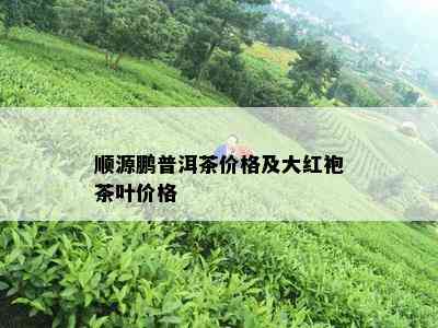 顺源鹏普洱茶价格及大红袍茶叶价格