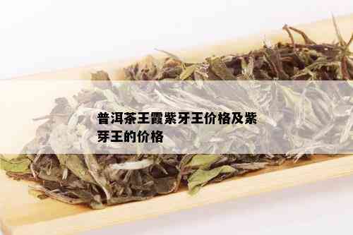 普洱茶王霞紫牙王价格及紫芽王的价格