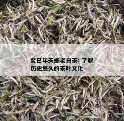 癸巳年天蟾老白茶: 了解历史悠久的茶叶文化