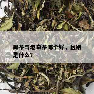 黑茶与老白茶哪个好，区别是什么？