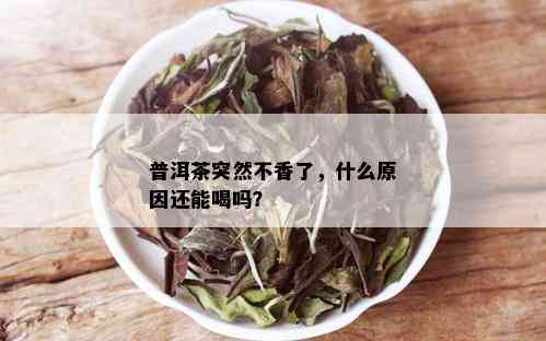 普洱茶突然不香了，什么原因还能喝吗？