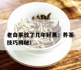 老白茶放了几年好黑：养茶技巧揭秘！