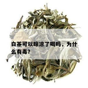 白茶可以晾凉了喝吗，为什么有？