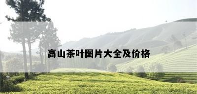 高山茶叶图片大全及价格