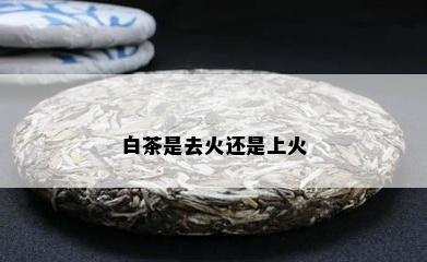 白茶是去火还是上火