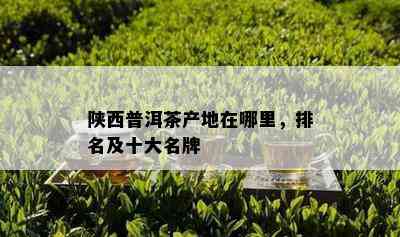 陕西普洱茶产地在哪里，排名及十大名牌