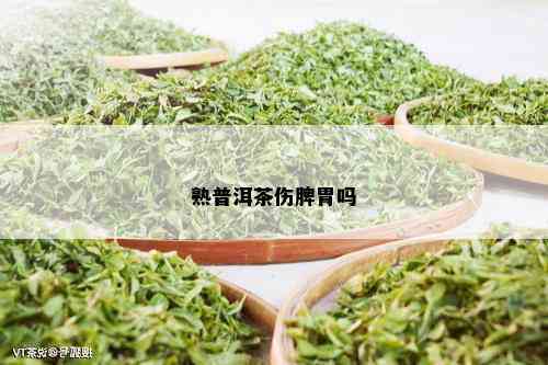 熟普洱茶伤脾胃吗