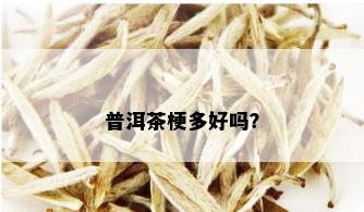 普洱茶梗多好吗？