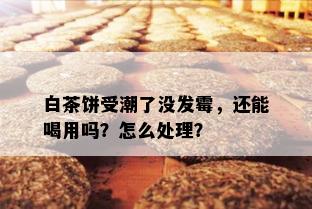 白茶饼受潮了没发霉，还能喝用吗？怎么处理？