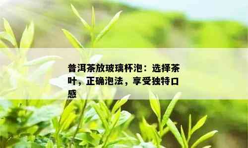 普洱茶放玻璃杯泡：选择茶叶，正确泡法，享受独特口感