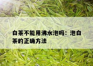 白茶不能用沸水泡吗：泡白茶的正确方法