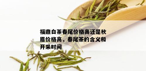 福鼎白茶春尾价格高还是秋眉价格高，春尾茶的含义和开采时间