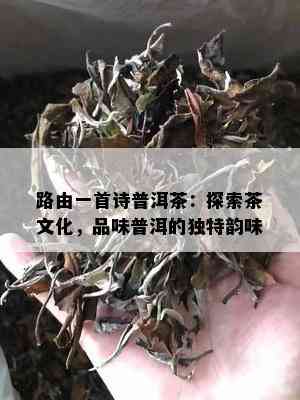 路由一首诗普洱茶：探索茶文化，品味普洱的独特韵味