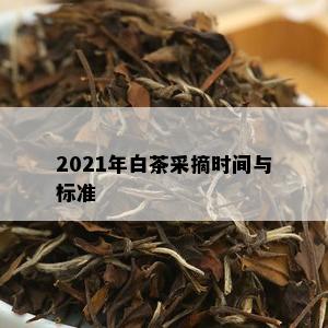 2021年白茶采摘时间与标准