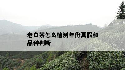 老白茶怎么检测年份真假和品种判断