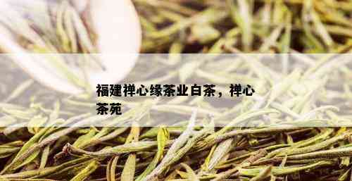 福建禅心缘茶业白茶，禅心茶苑