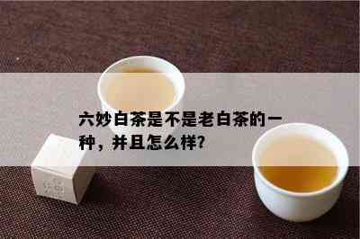 六妙白茶是不是老白茶的一种，并且怎么样？