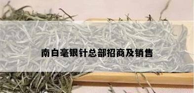 南白毫银针总部招商及销售