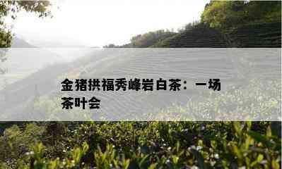 金猪拱福秀峰岩白茶：一场茶叶会