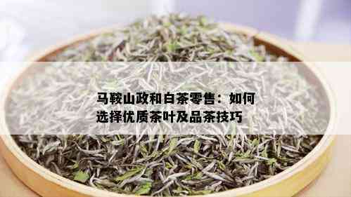 马鞍山政和白茶零售：如何选择优质茶叶及品茶技巧