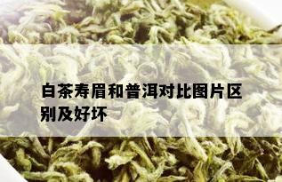 白茶寿眉和普洱对比图片区别及好坏