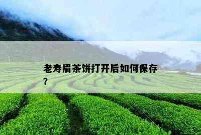 老寿眉茶饼打开后如何保存？