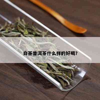 白茶普洱茶什么样的好喝？