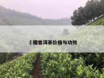 垻糯普洱茶价格与功效