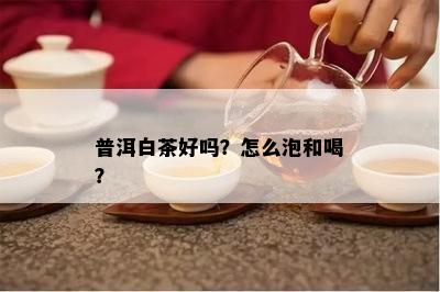 普洱白茶好吗？怎么泡和喝？