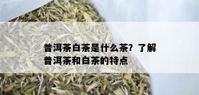 普洱茶白茶是什么茶？了解普洱茶和白茶的特点