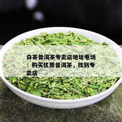 白茶普洱茶专卖店地址电话：购买优质普洱茶，找到专卖店