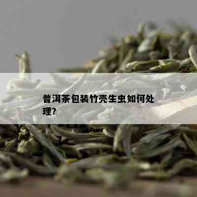 普洱茶包装竹壳生虫如何处理？