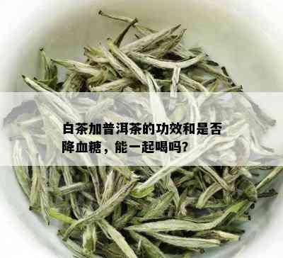 白茶加普洱茶的功效和是否降血糖，能一起喝吗？