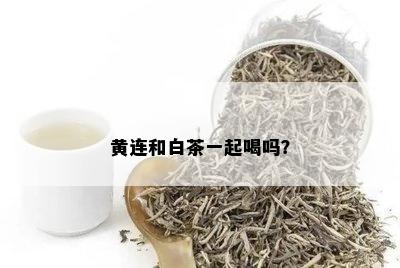 黄连和白茶一起喝吗？