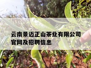 云南景迈正山茶业有限公司官网及招聘信息