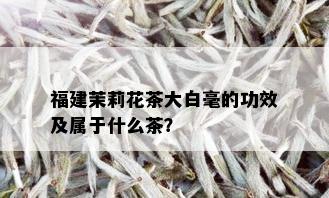 福建茉莉花茶大白毫的功效及属于什么茶？