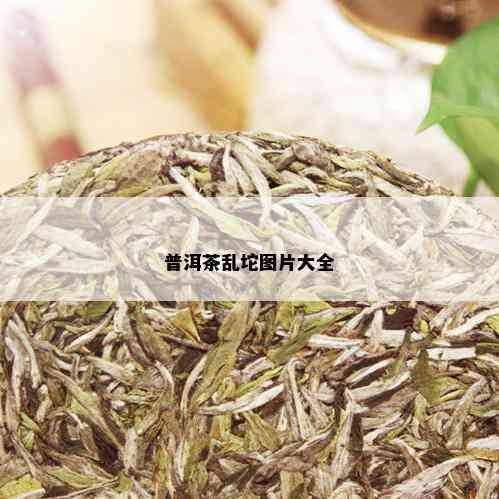 普洱茶乱坨图片大全