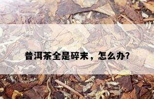 普洱茶全是碎末，怎么办？