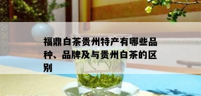 福鼎白茶贵州特产有哪些品种、品牌及与贵州白茶的区别