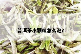 普洱茶小颗粒怎么泡？